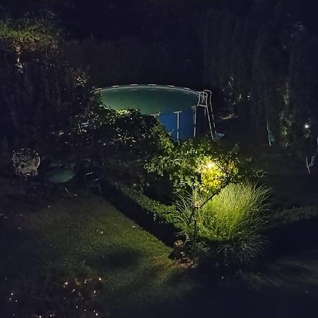 Guest House Dimitrije Нишка-Баня Экстерьер фото