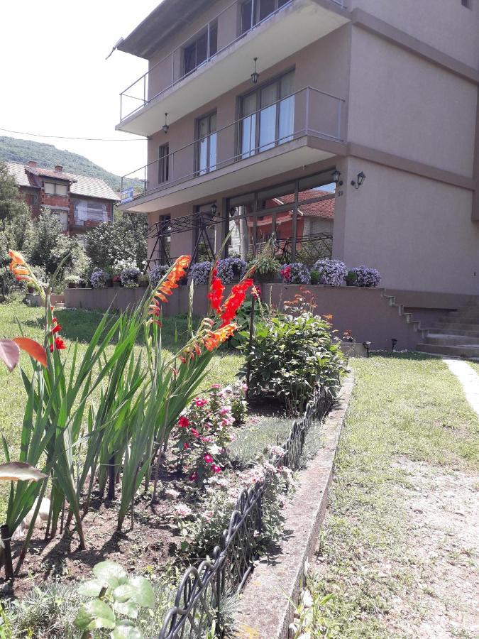 Guest House Dimitrije Нишка-Баня Экстерьер фото