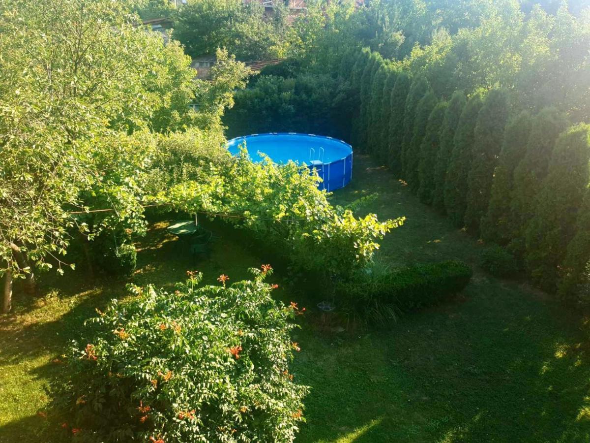 Guest House Dimitrije Нишка-Баня Экстерьер фото