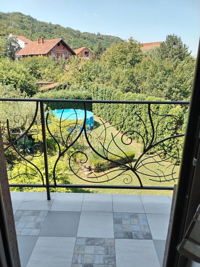 Guest House Dimitrije Нишка-Баня Экстерьер фото
