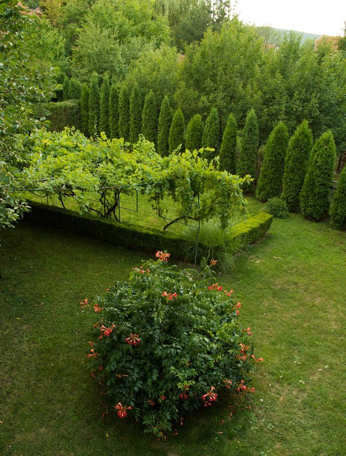 Guest House Dimitrije Нишка-Баня Экстерьер фото