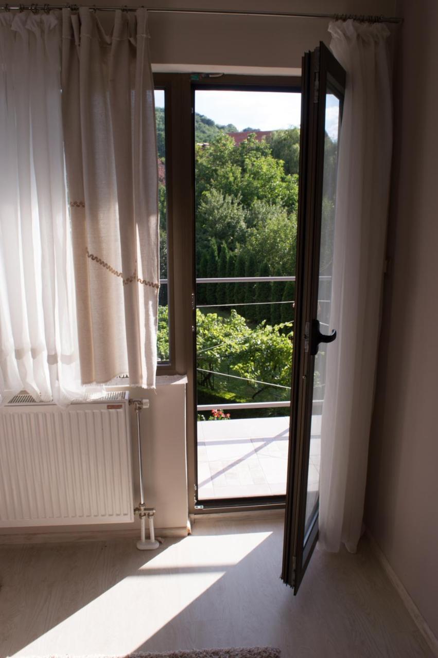 Guest House Dimitrije Нишка-Баня Экстерьер фото
